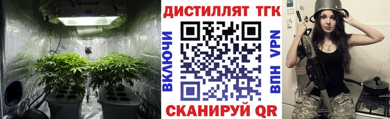 Купить закладки  Краснокамск  Дистиллят ТГК THC oil 